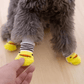 Chaussettes pour chien - jaune avec rayures