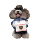 Déguisement pour chat et chien - livreur