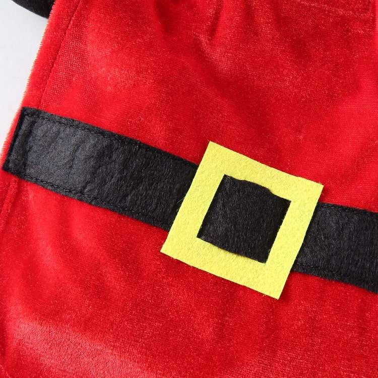 Déguisement pour chat et chien - père noël