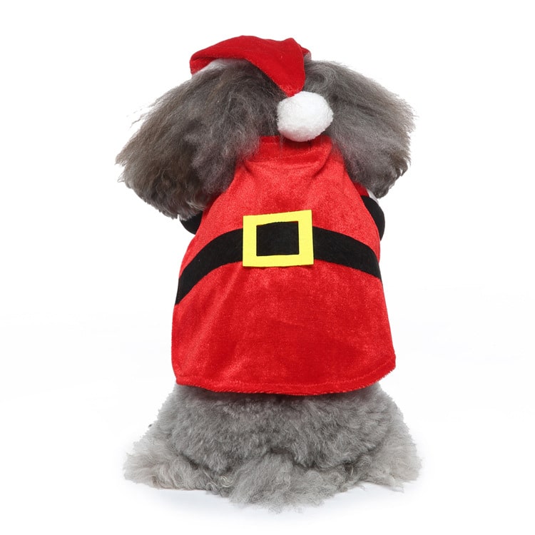 Déguisement pour chat et chien - père noël