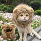 Déguisement pour chat - perruque crinière de lion