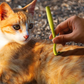 Pince à tiques en plastique pour chien et chat